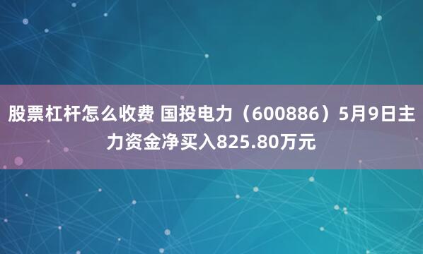 股票杠杆怎么收费 国投电力（600886）5月9日主力资金净买入825.80万元