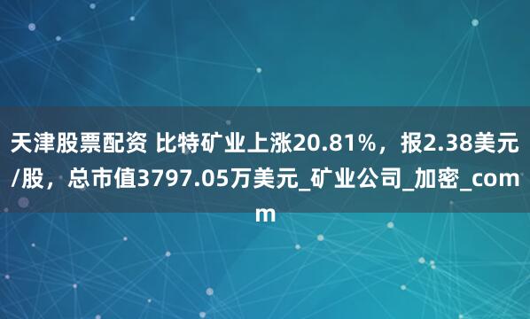 天津股票配资 比特矿业上涨20.81%，报2.38美元/股，总市值3797.05万美元_矿业公司_加密_com