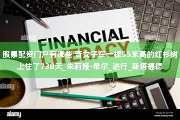 股票配资门户有哪些 奇女子在一棵55米高的红杉树上住了738天_朱莉娅·希尔_进行_斯塔福德