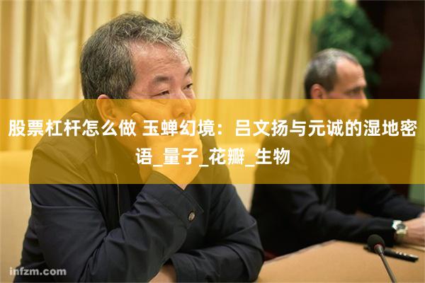 股票杠杆怎么做 玉蝉幻境：吕文扬与元诚的湿地密语_量子_花瓣_生物