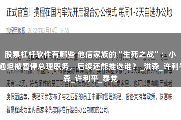 股票杠杆软件有哪些 他信家族的“生死之战”：小女儿佩通坦被暂停总理职务，后续还能推选谁？_洪森_许利平_泰党