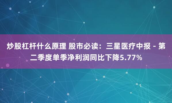 炒股杠杆什么原理 股市必读：三星医疗中报 - 第二季度单季净利润同比下降5.77%