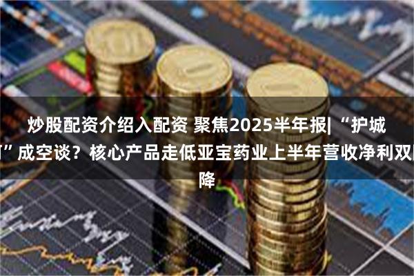 炒股配资介绍入配资 聚焦2025半年报| “护城河”成空谈？核心产品走低亚宝药业上半年营收净利双降