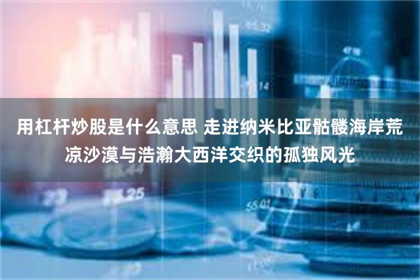 用杠杆炒股是什么意思 走进纳米比亚骷髅海岸荒凉沙漠与浩瀚大西洋交织的孤独风光