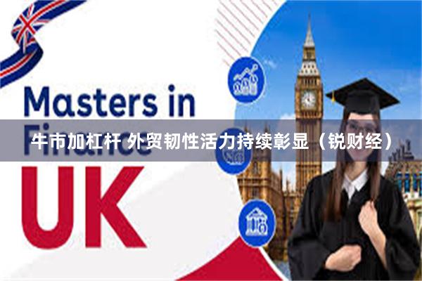 牛市加杠杆 外贸韧性活力持续彰显（锐财经）